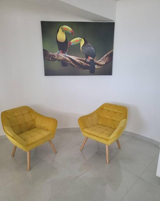 Hello Guyane Appartement Cayenne Buitenkant foto